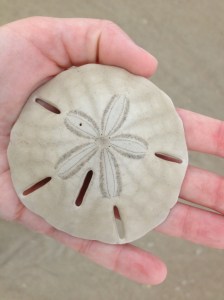 Another day, another dollar